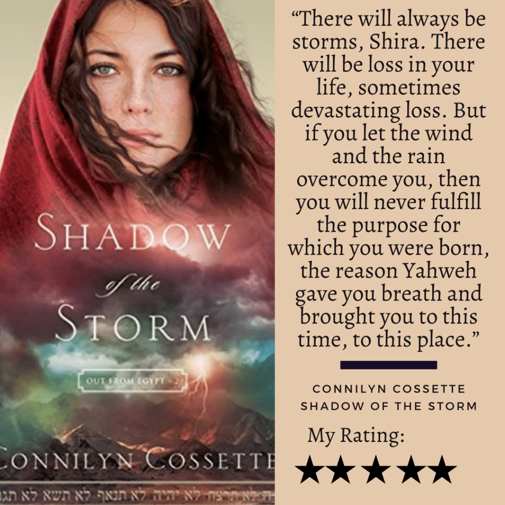 Shadow of the Storm by Connilyn Cossette (Book&nbsp;Review)